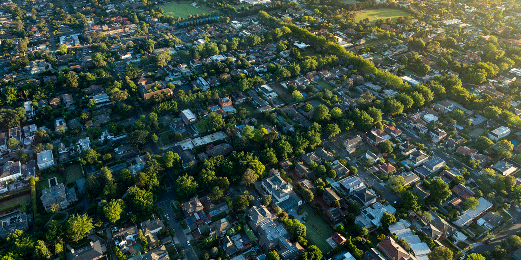 Simonds-Roy-Morgan-Case-Study