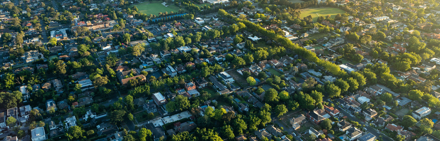 Simonds-Roy-Morgan-Case-Study2